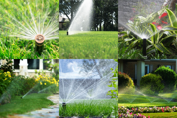 Tìm hiểu hệ thống tưới nước tự động