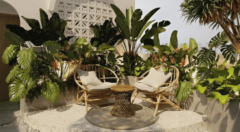 vườn sân thượng đẹp