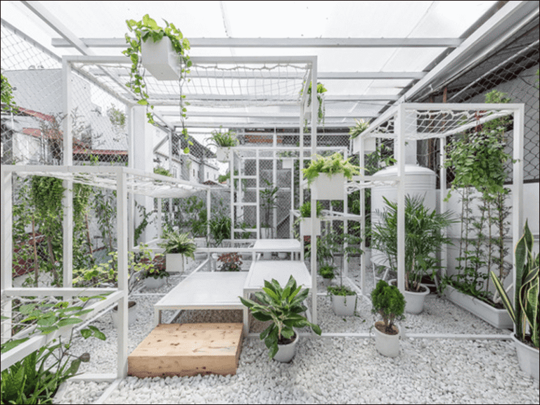 Vườn treo - vườn đứng