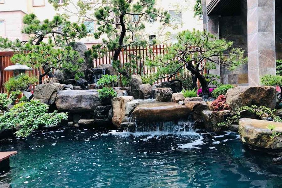 Lợi ích vượt trội khi thiết kế tiểu cảnh hồ cá tại nhà