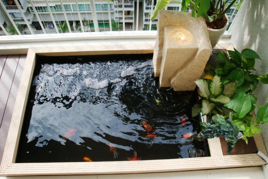 ​Mẫu tiểu cảnh hồ cá đẹp mini cho nhà phố, chung cư