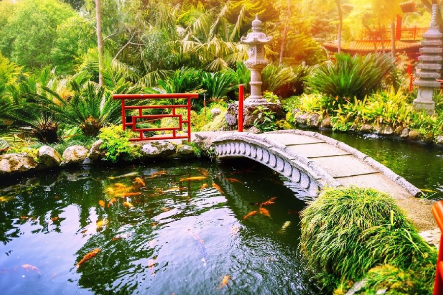 Mẫu tiểu cảnh hồ cá đẹp phong cách Nhật Bản