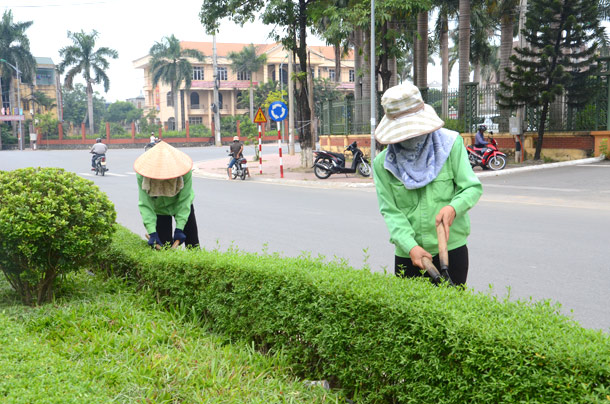 Tiêu chí lựa chọn đơn vị chăm sóc cây xanh uy tín