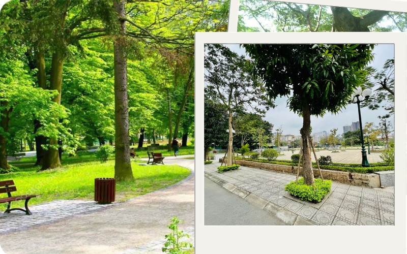 Tiêu chí đánh giá công ty cây xanh chuyên nghiệp là uy tín, chất lượng và kinh nghiệm.