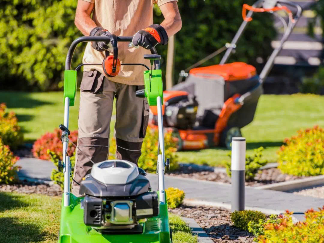 Tiêu chí chọn đơn vị chăm sóc cây cảnh uy tín.