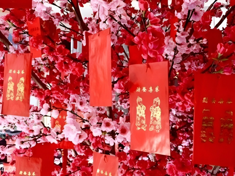 Trang trí cây đào tết bằng bao lì xì đỏ