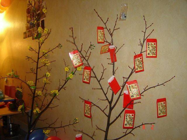 Bao lì xì đỏ giúp cây mai thêm rực rỡ, tượng trưng cho may mắn và tài lộc đầu năm.