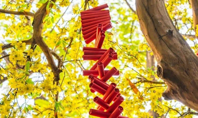 Dây pháo giấy đỏ giúp cây mai thêm rực rỡ và đậm không khí Tết.