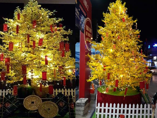 Đèn LED giúp cây mai thêm lung linh và nổi bật vào ban đêm.