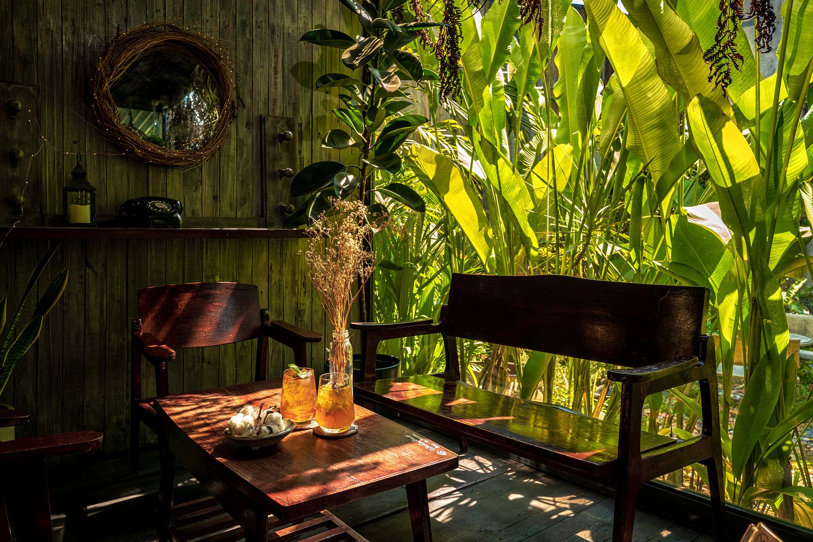 Tại sao không gian kinh doanh cần trang trí cây xanh?