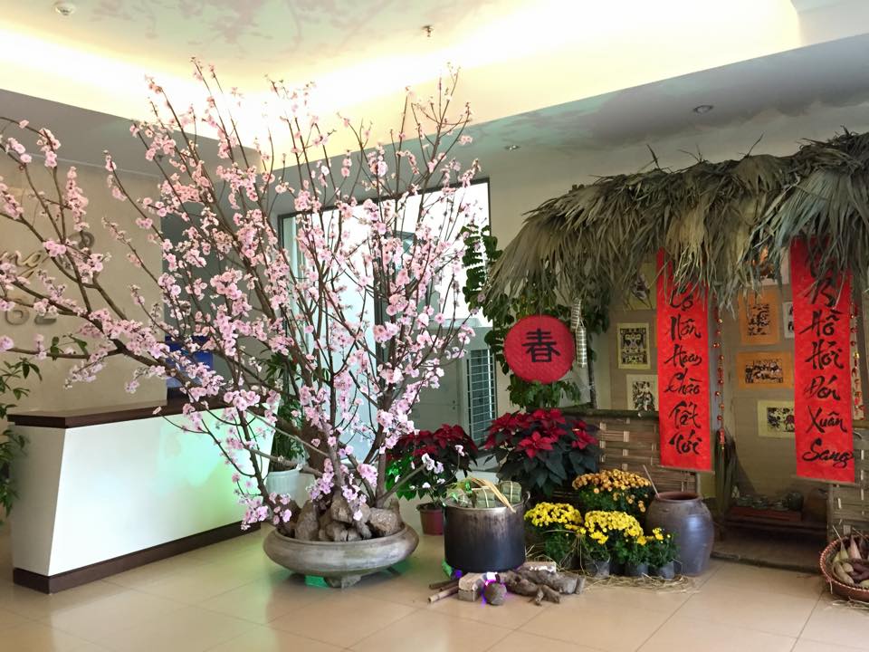 Cây đào, mai, quất làm sảnh Tết thêm rực rỡ.