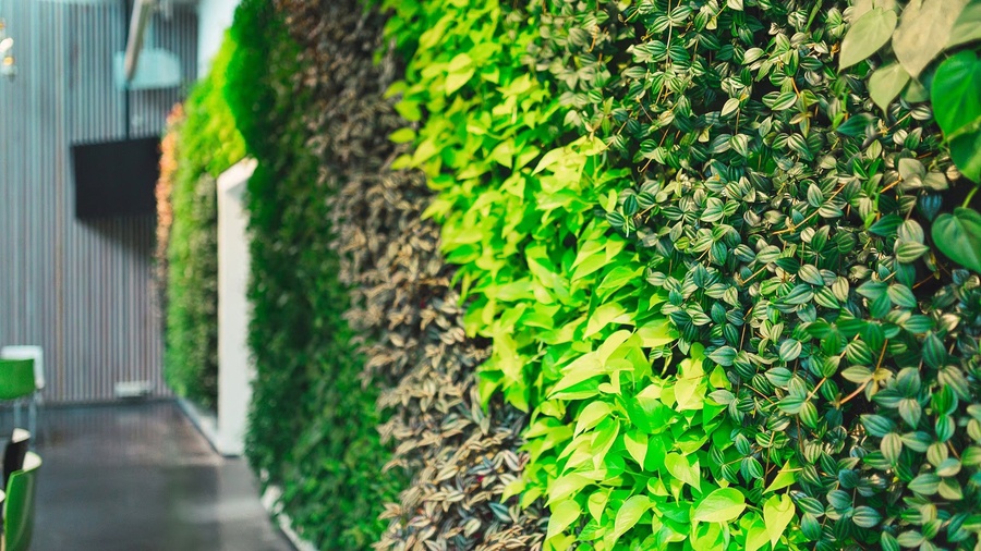 mẫu vách tường cây xanh đẹp 