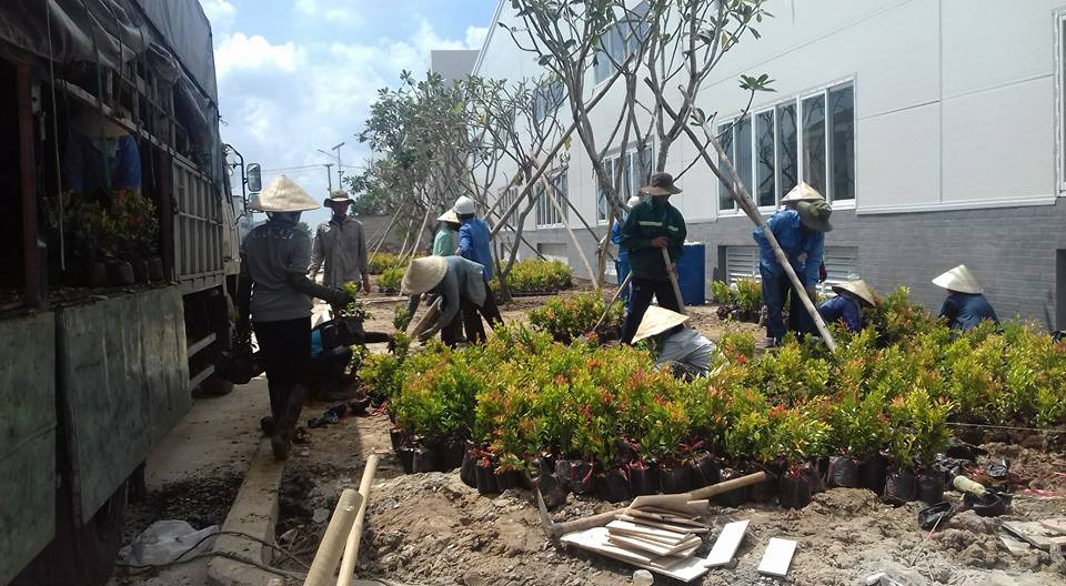 Vệ sinh cảnh quan là tổng hợp các công việc chăm sóc, duy trì vẻ đẹp và sức khỏe cho không gian xanh