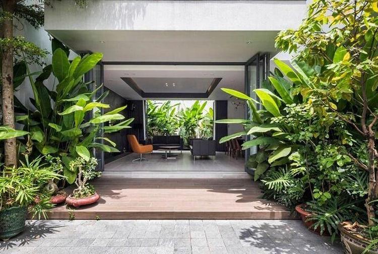 Trồng cây trước nhà giúp làm đẹp không gian và thu hút sinh khí tốt.