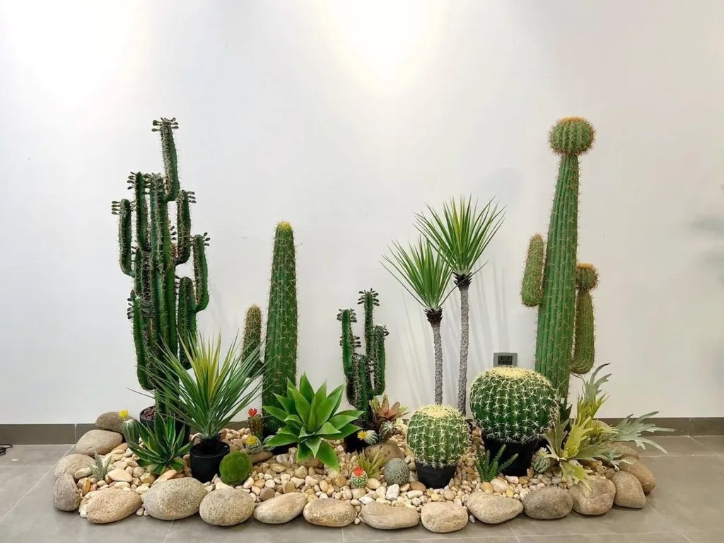 Ý Nghĩa Cây Xương Rồng Trong Cuộc Sống